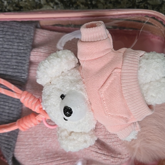 Anastasia Clear Bag & Pink and Gray  Pom Pom Hat & Teddy Clip - Picture 2 of 7